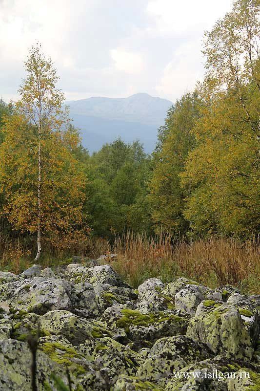 Поселок Зюраткуль — хребет Большой Нургуш - фото