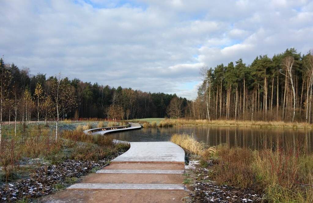 Прогулка в Мещерском парке - фото