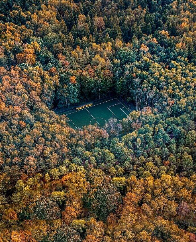 Прогулка в Мещерском парке - фото