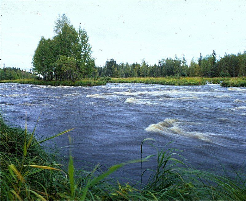 Река водла