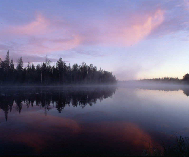 Сплав по рекам Вама - Водла - фото