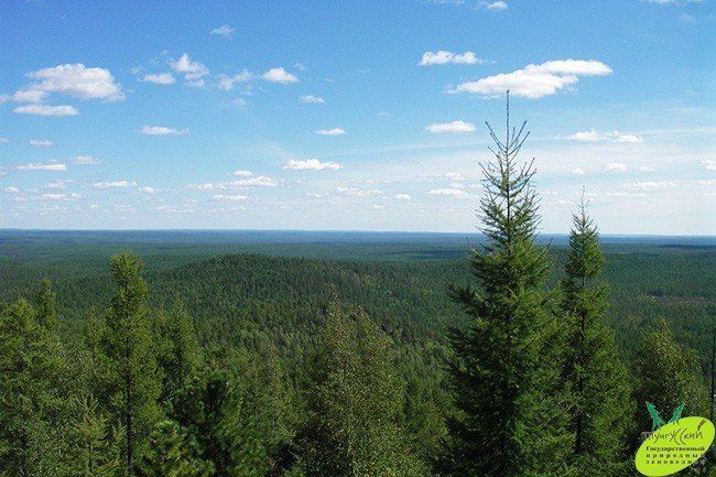 По рекам Подкаменная Тунгуска, Чамба, Хушма (на деревянных лодках - шитик). - фото