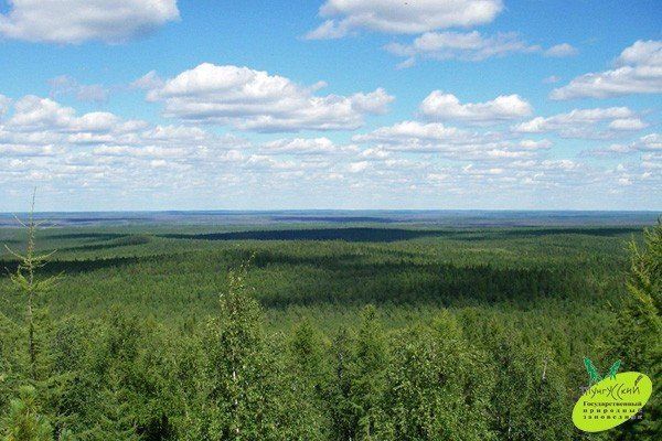 По рекам Подкаменная Тунгуска, Чамба, Хушма (на деревянных лодках - шитик). - фото