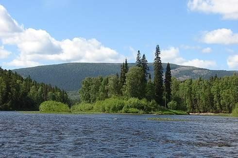 По южной границе заповедника "Вишерский" - фото