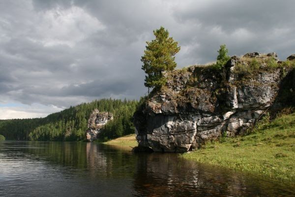 По южной границе заповедника "Вишерский" - фото