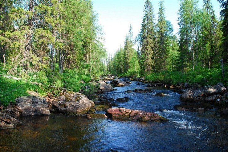 По южной границе заповедника "Вишерский" - фото