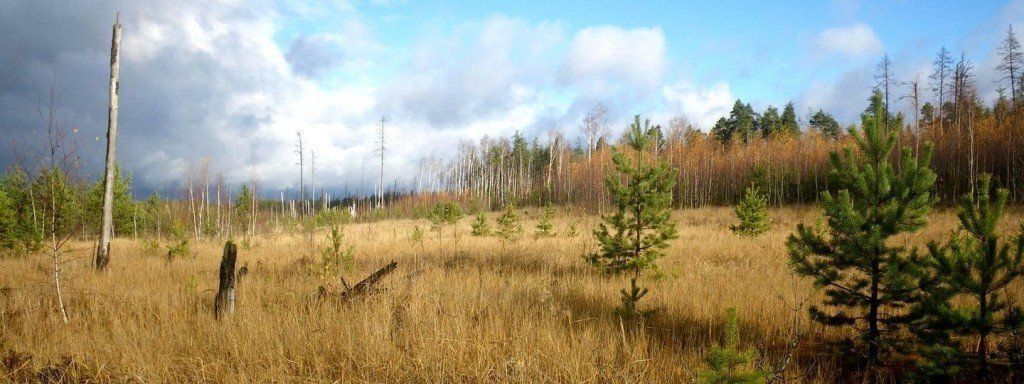 Аргуновская волость - фото