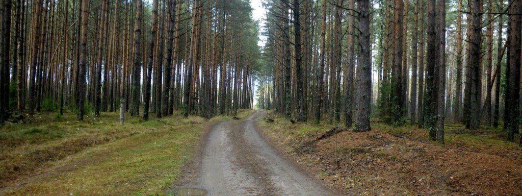 Аргуновская волость - фото