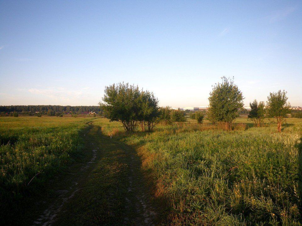 Вдоль Рожайки - фото