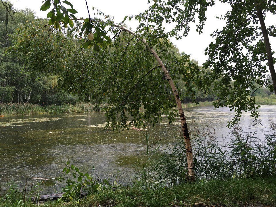 Зеленоград — Менделеево - фото