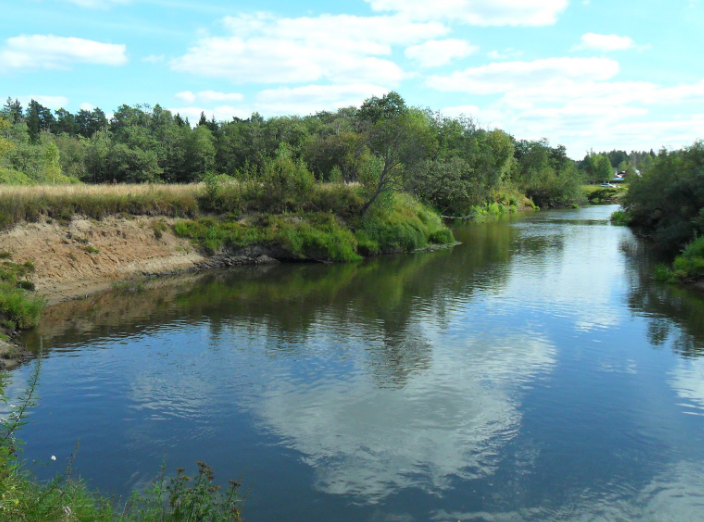 Водный сплав по реке Дубна от с. Константиново до г. Дубна (длина 113 км) - фото