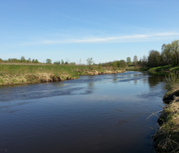 Водный сплав по реке Дубна от с. Константиново до г. Дубна (длина 113 км) - фото