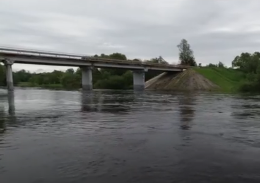 Водный сплав по реке Дубна от с. Константиново до г. Дубна (длина 113 км) - фото