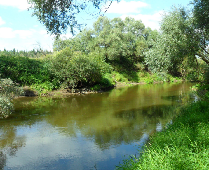 Водный сплав по реке Дубна от с. Константиново до г. Дубна (длина 113 км) - фото