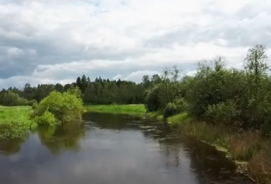 Водный сплав по реке Дубна от с. Константиново до г. Дубна (длина 113 км) - фото