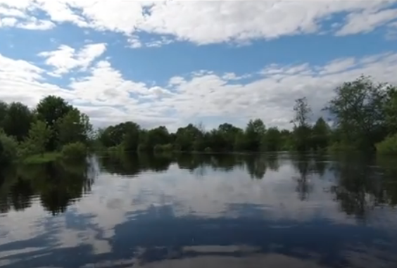 Водный сплав по реке Дубна от с. Константиново до г. Дубна (длина 113 км) - фото