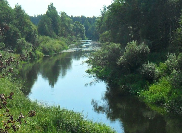 Водный сплав по реке Дубна от с. Константиново до г. Дубна (длина 113 км) - фото