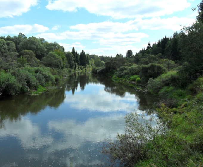 Водный сплав по реке Дубна от с. Константиново до г. Дубна (длина 113 км) - фото