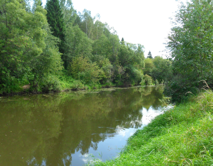 Водный сплав по реке Дубна от с. Константиново до г. Дубна (длина 113 км) - фото