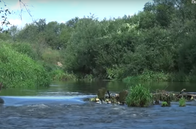 Водный сплав по реке Киржач от г. Киржач до п. Городище (длина маршрута 65 км) - фото