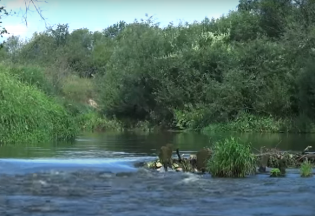 Водный сплав по реке Киржач от г. Киржач до п. Городище (длина маршрута 65 км) - фото