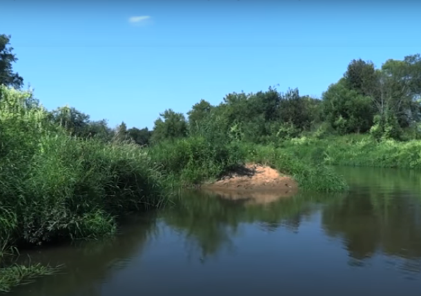 Водный сплав по реке Киржач от г. Киржач до п. Городище (длина маршрута 65 км) - фото