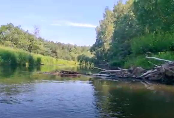 Водный сплав по реке Тьма от п. Высокое до г. Тверь (длина маршрута 94 км) - фото