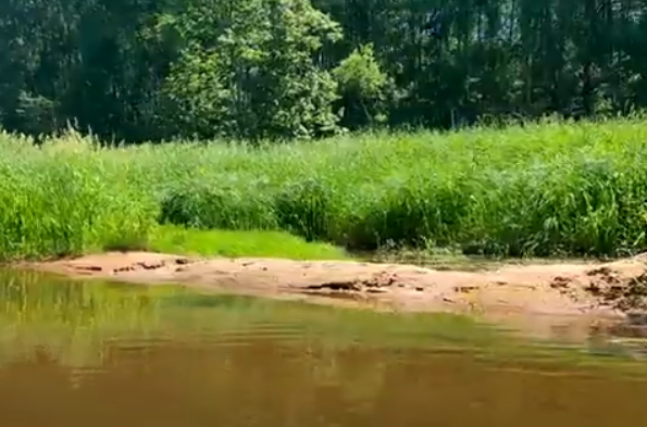 Водный сплав по реке Тьма от п. Высокое до г. Тверь (длина маршрута 94 км) - фото