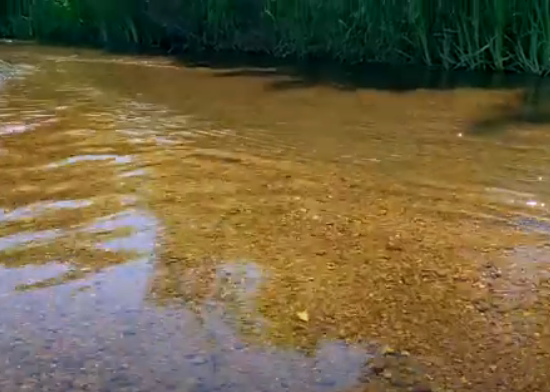 Водный сплав по реке Тьма от п. Высокое до г. Тверь (длина маршрута 94 км) - фото