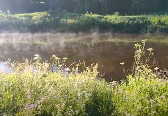 Водный сплав по реке Тьма от п. Высокое до г. Тверь (длина маршрута 94 км) - фото