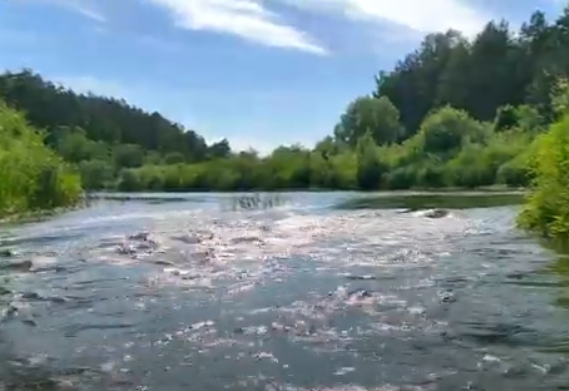 Водный сплав по реке Тьма от п. Высокое до г. Тверь (длина маршрута 94 км) - фото