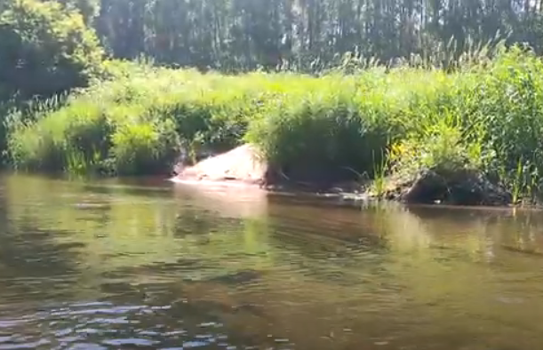 Водный сплав по реке Тьма от п. Высокое до г. Тверь (длина маршрута 94 км) - фото