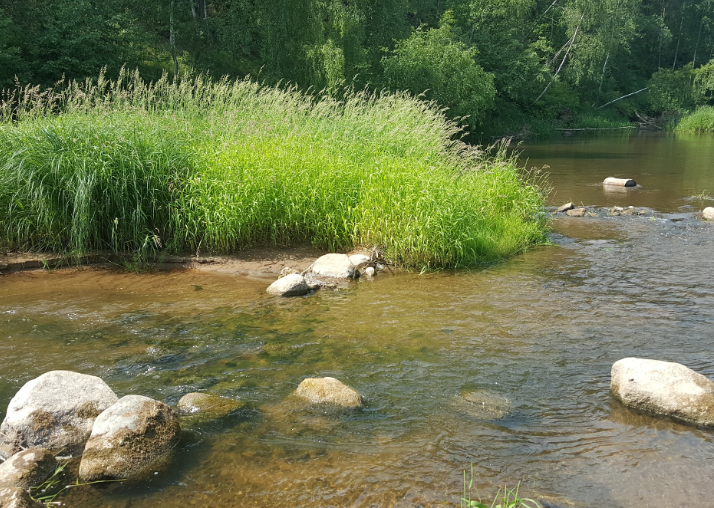 Водный сплав по реке Тьма от п. Высокое до г. Тверь (длина маршрута 94 км) - фото