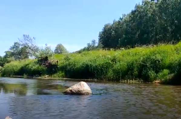 Водный сплав по реке Тьма от п. Высокое до г. Тверь (длина маршрута 94 км) - фото