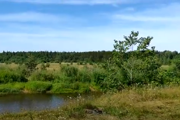 Водный сплав по реке Тьма от п. Высокое до г. Тверь (длина маршрута 94 км) - фото