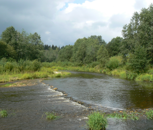 Водный сплав по реке Тьма от п. Высокое до г. Тверь (длина маршрута 94 км) - фото