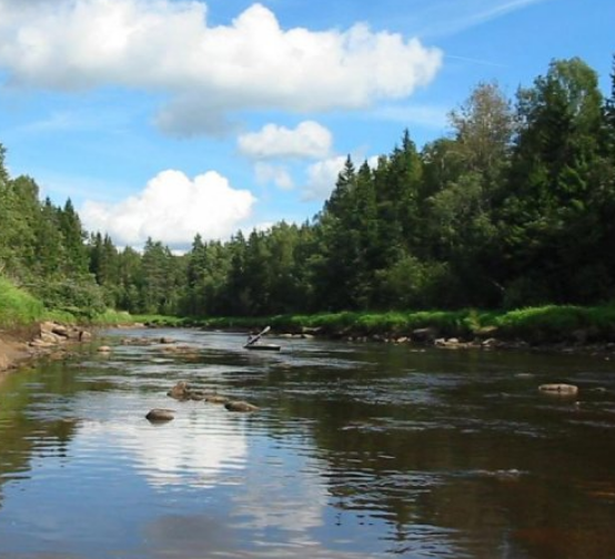 Водный сплав по реке Тьма от п. Высокое до г. Тверь (длина маршрута 94 км) - фото