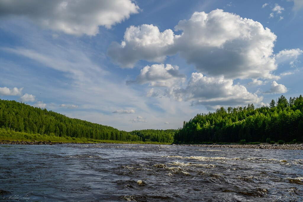 Водный сплав по рекам Вандыш-Волошка-Онега  до острова Кий (длина 527 км) - фото