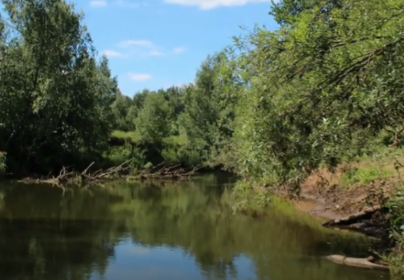 Водный сплав по реке Воря от Красноармейска до Лосино-Петровска (длина 47 км) - фото