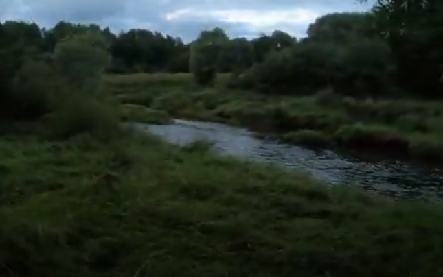 Водный сплав по реке Воря от Красноармейска до Лосино-Петровска (длина 47 км) - фото