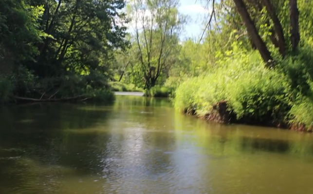 Водный сплав по реке Воря от Красноармейска до Лосино-Петровска (длина 47 км) - фото