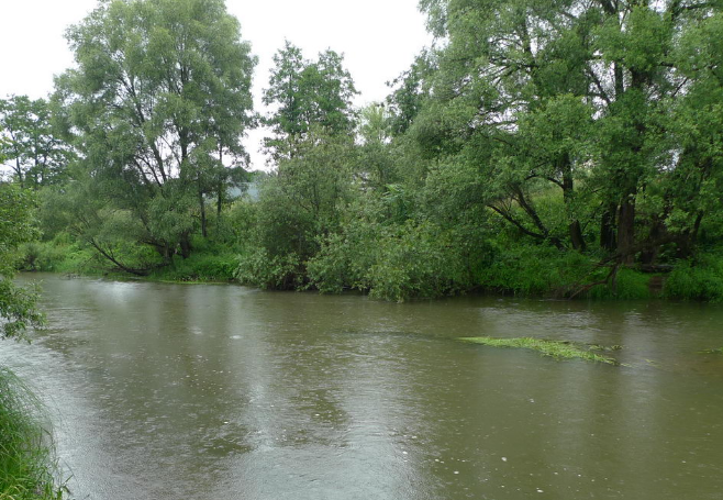 Водный сплав по реке Воря от Красноармейска до Лосино-Петровска (длина 47 км) - фото