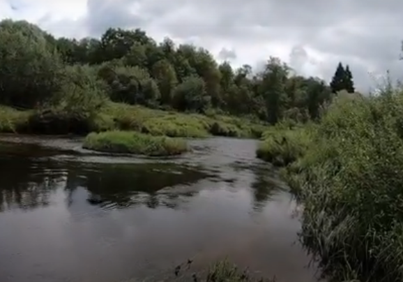 Водный сплав по реке Воря от Красноармейска до Лосино-Петровска (длина 47 км) - фото