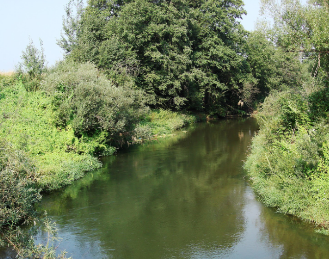 Водный сплав по реке Воря от Красноармейска до Лосино-Петровска (длина 47 км) - фото