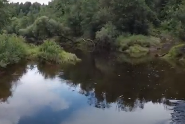 Водный сплав по реке Воря от Красноармейска до Лосино-Петровска (длина 47 км) - фото