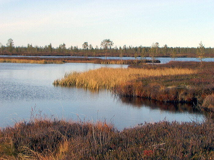 Водный сплав по реке Уса от г. Воркута до г. Усинск (длина маршрута 522 км) - фото