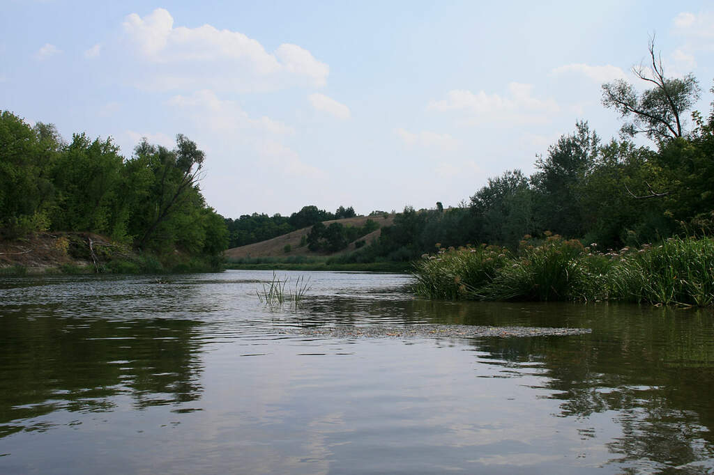 Водный сплав по реке Хопёр от села Сосновка до г. Борисоглебск ( длина 405 км) - фото