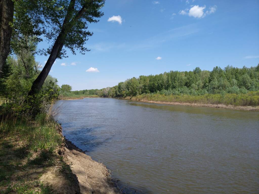 Водный сплав по реке Урал от Орска до Оренбурга (длина маршрута 489 км) - фото