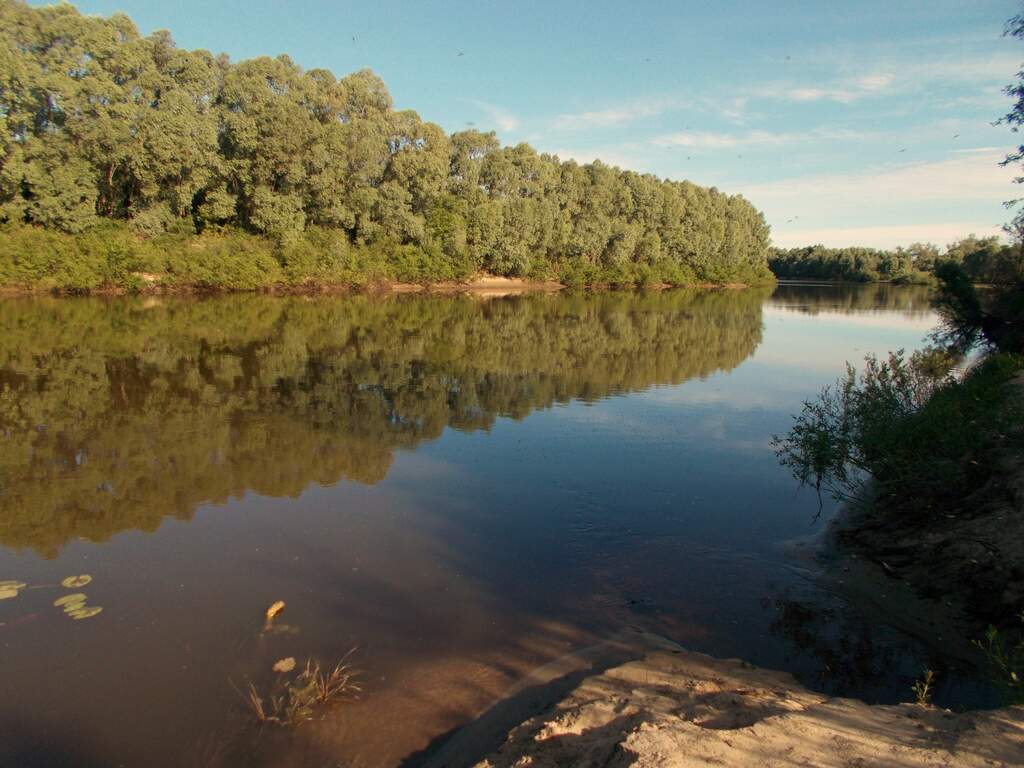 Водный сплав по реке Мокша (длина маршрута 447 км) - фото