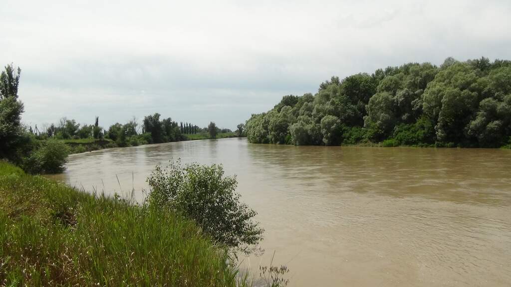 Погода в краснодарский край хутор. Река Кубань Гулькевичский район. Река Кубань Гулькевичский район Краснодарский. Река Кубань в селе Новоукраинском Гулькевичского района. Гулькевичский район природа.